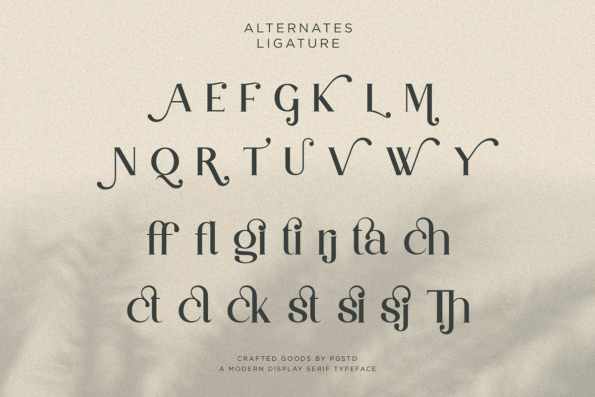Partake | Modern Serif, a Serif Font by Pentagonistudio (Photo 8 of 10)