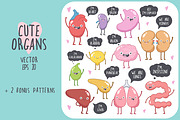 Cute Organs, a Healthcare Illustration by Imaginasty (Thumbnail 2 of 3)