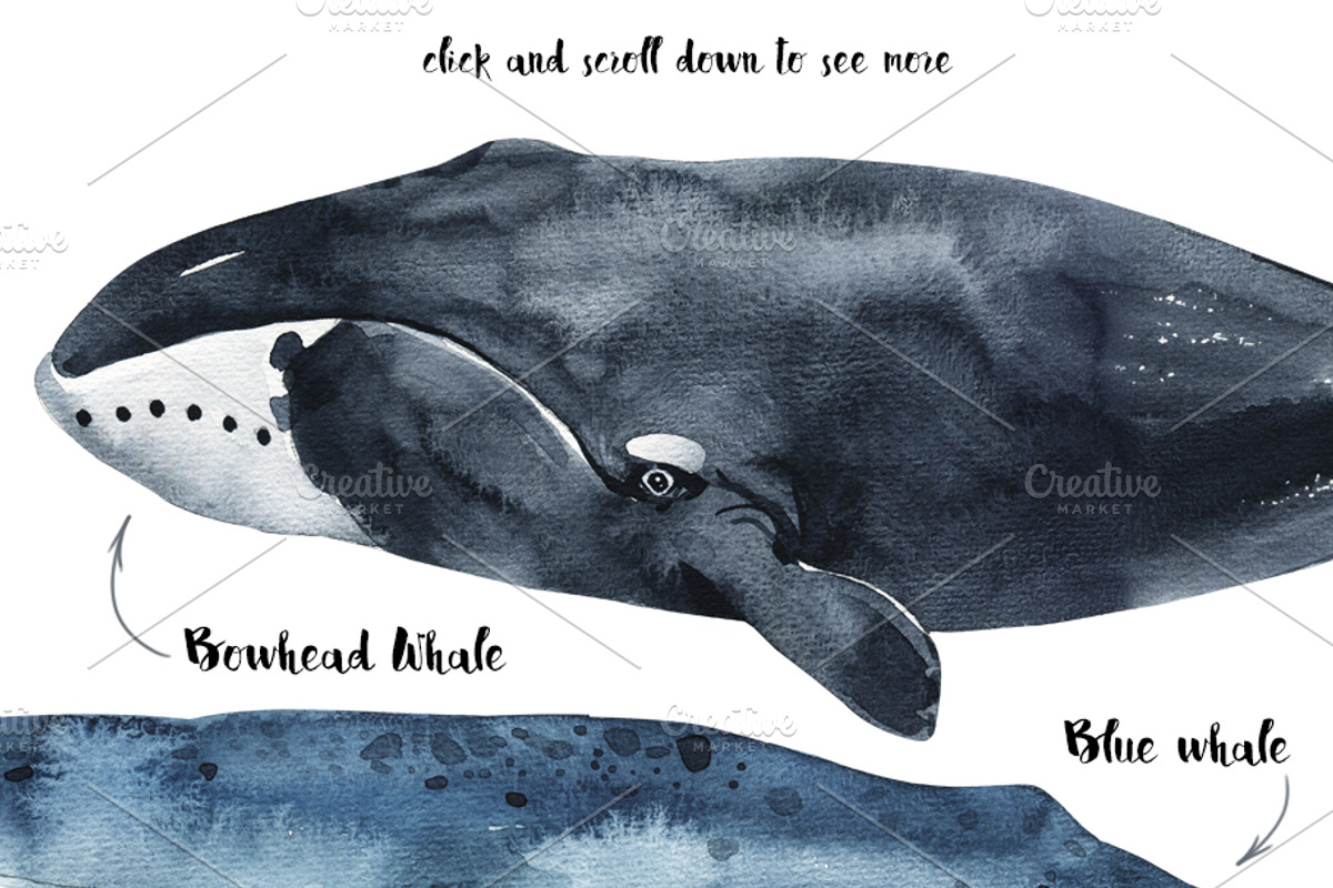 In love with watercolor Ocean, an Animal Illustration by KatBranchArt (Photo 2 of 7)