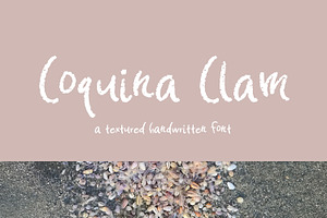 Coquina Clam Sans