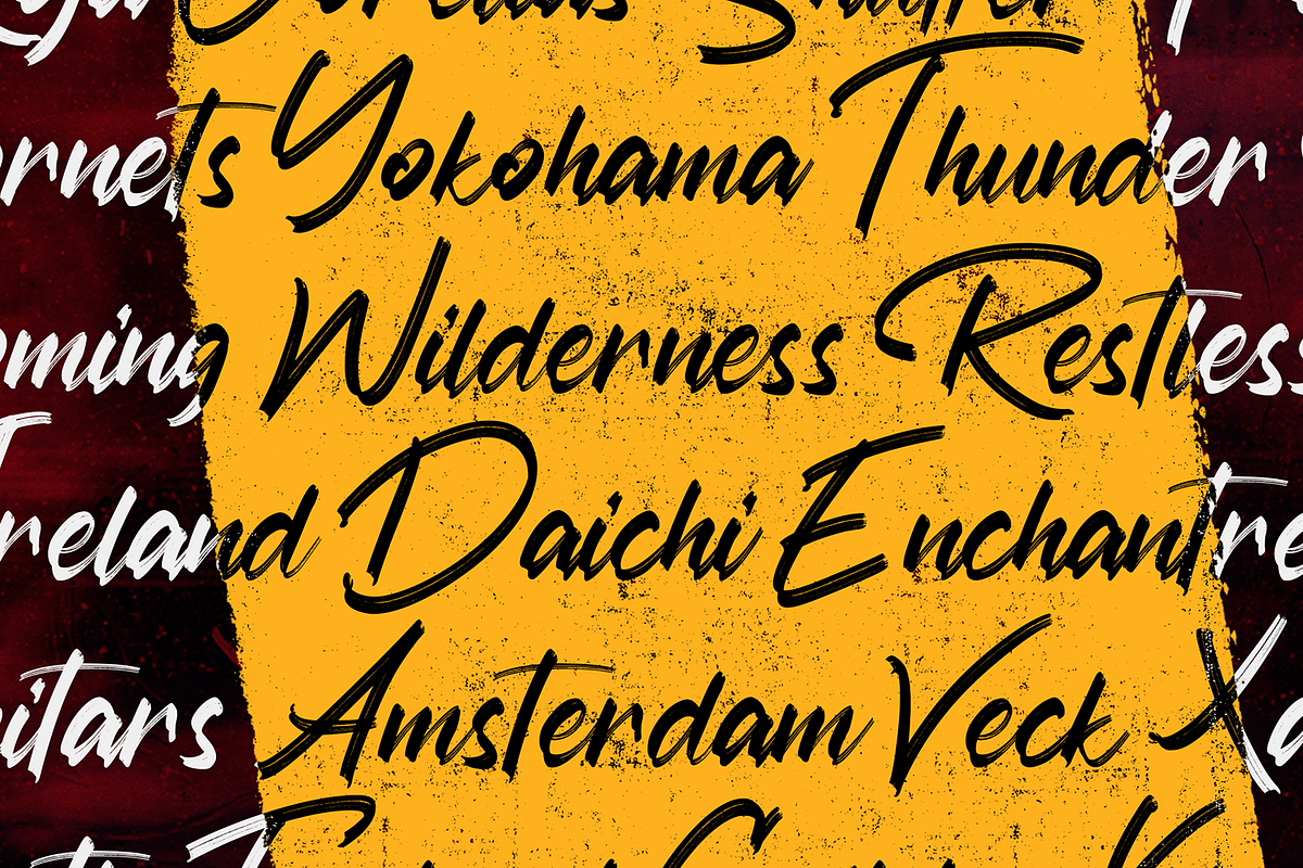 Austhind - Stylish Brush Font preview 8