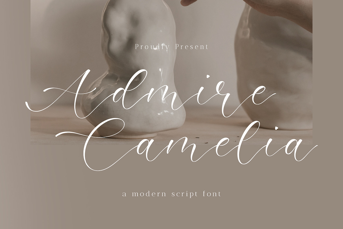 Admire Camelia - Modern Script Font, a Script Font by Timurtype (Photo 1 of 7)