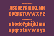 Baseform Bold Condensed Sans Font, a Sans Serif Font by Rasio Studio (Thumbnail 2 of 11)