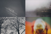 45 Nature Snapshots (Lomo LC-A), a Nature Photo by Studio Rho (Thumbnail 8 of 11)