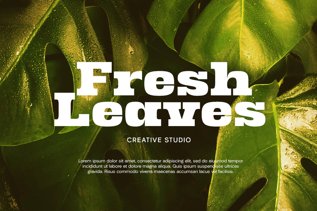 Ridge Cliff - Slab Serif Font, a Slab Serif Font by Letterhend Studio (Photo 6 of 10)