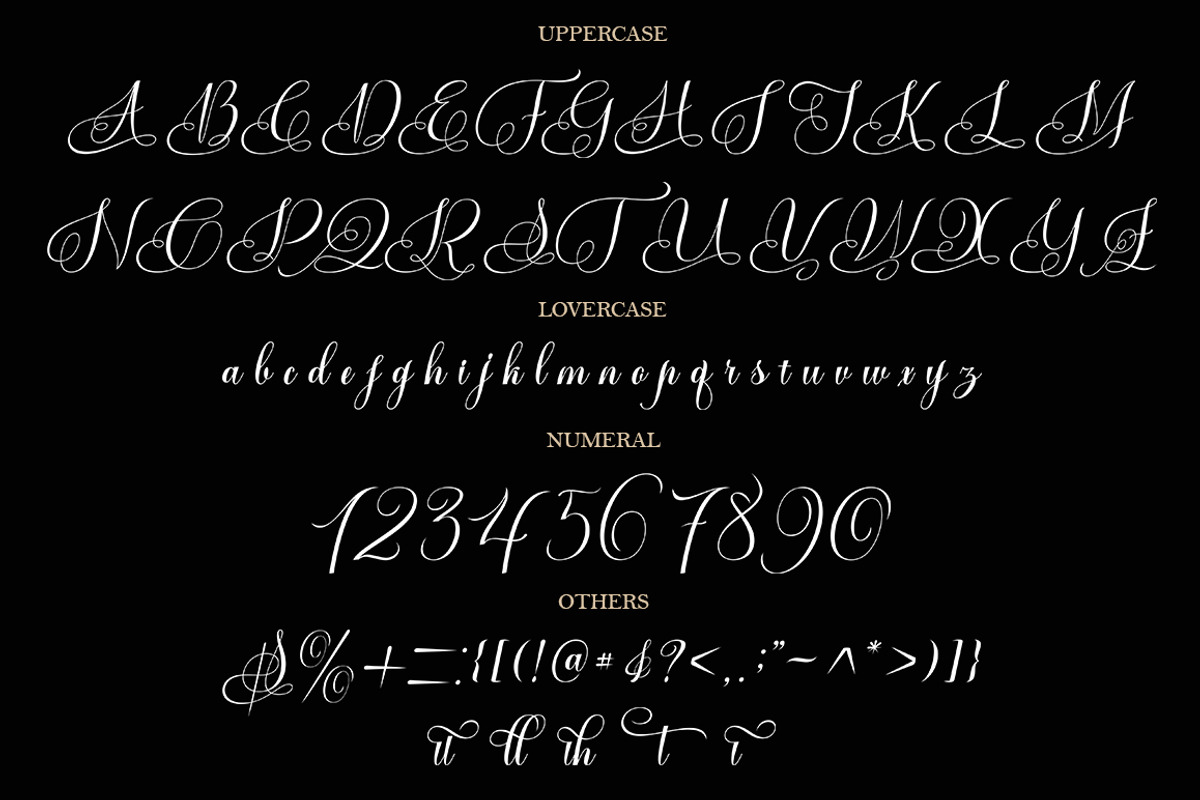 Vorgesla Script, a Script Font by TM Type (Photo 10 of 10)