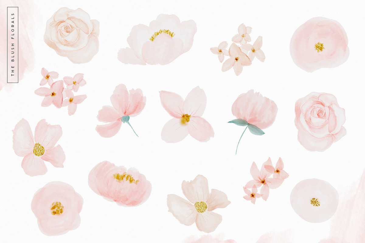 Blush & Botanica Florals, an Illustration by PrettyGrandmillennial (Photo 3 of 13)