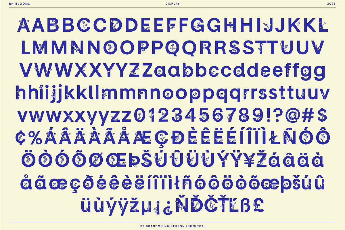 BN Blooms, a Sans Serif Font by Bnick (Photo 17 of 17)