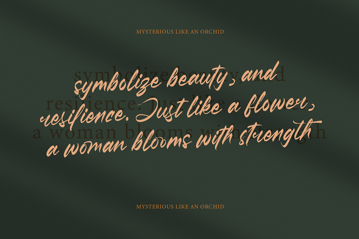 Pluretta Vintage Modern Brush Font, a Serif Font by Letterena Studios Script (Photo 3 of 20)