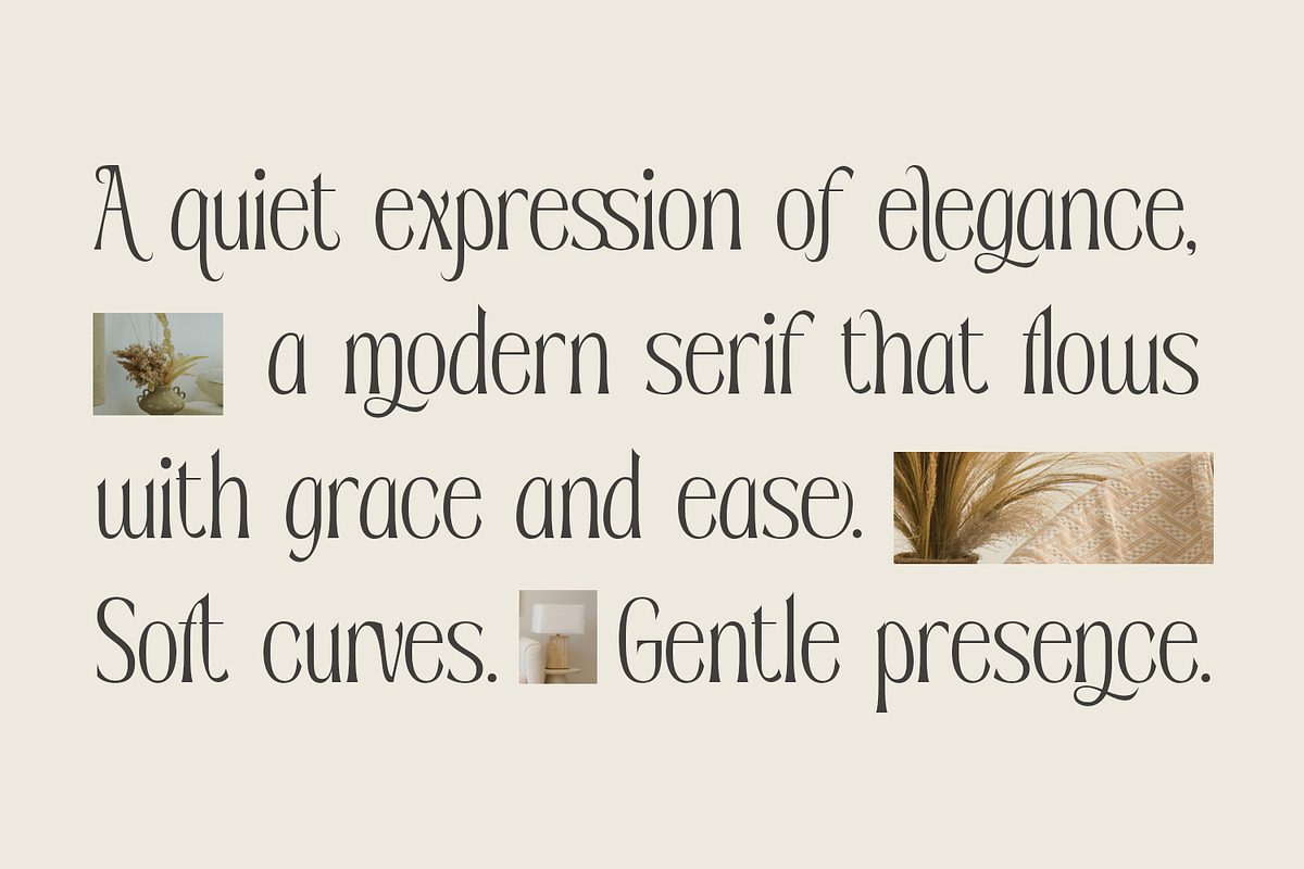 Sevenity, a Serif Font by din-studio.com (Photo 2 of 11)
