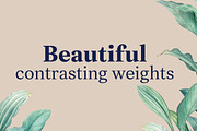 Leyendo font family by FontPeople, a Slab Serif Font by FontPeople (Thumbnail 2 of 6)