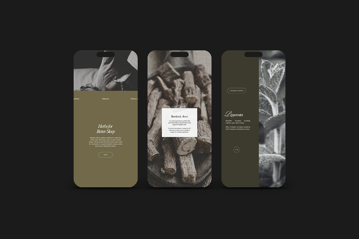 Herbalist Carousel Post Templates, a Social Media Template by Terraa Studio Design (Photo 7 of 9)
