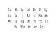 Minton52 font, a Serif Font by Yury Veselov (Thumbnail 3 of 9)