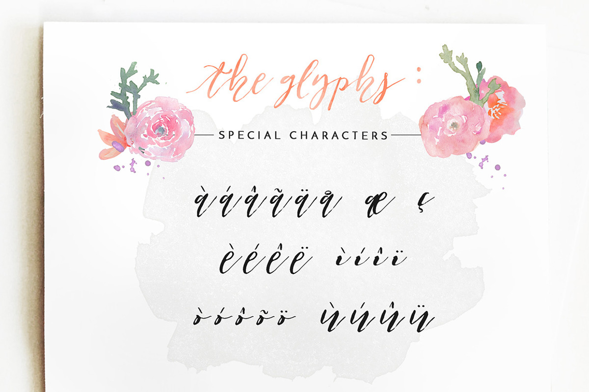 Patricia Dorothy Script, a Script Font by BlueRobinDesignShop (Photo 9 of 9)