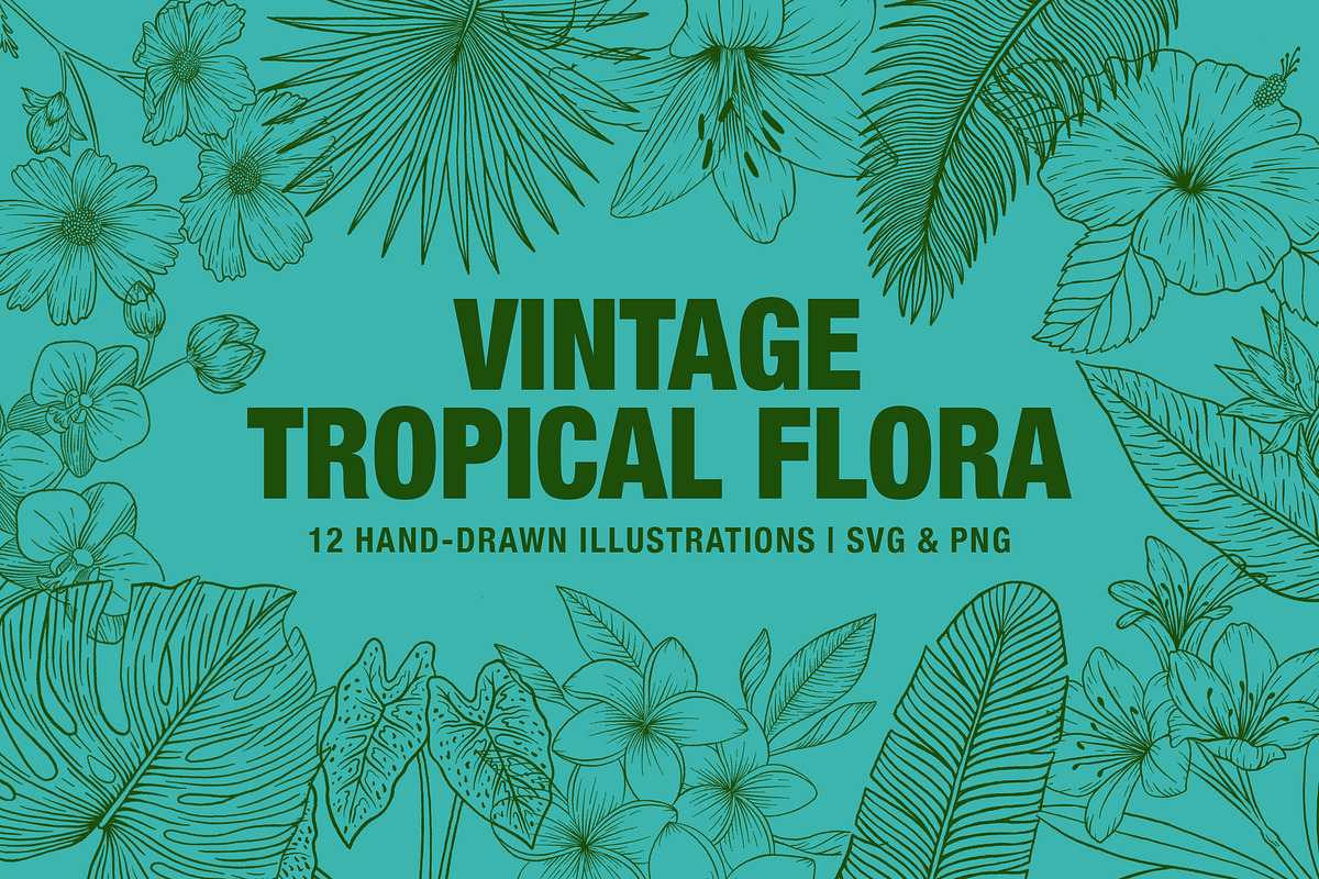Vintage Tropical Flora Illustrations, an Object Illustration by Jaclyn Caris (Photo 1 of 15)