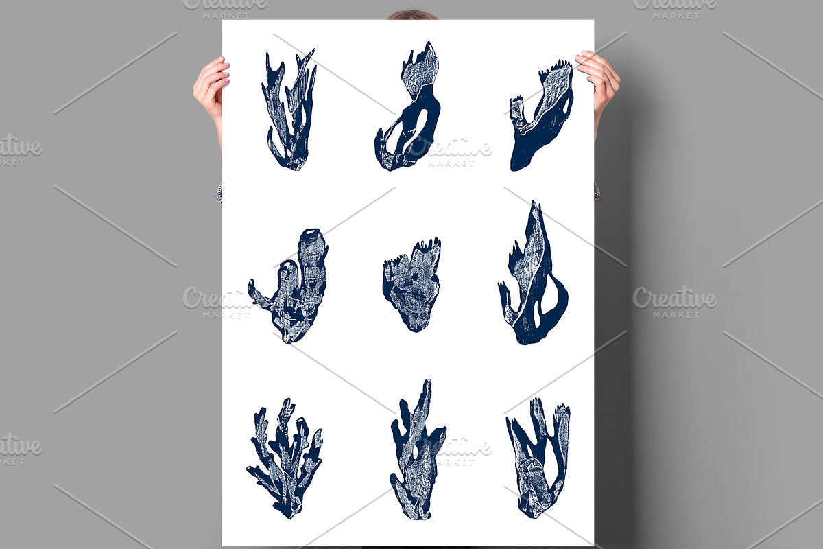 LINOCUT CORALS, an Object Graphic by Mii Lab (Photo 5 of 18)