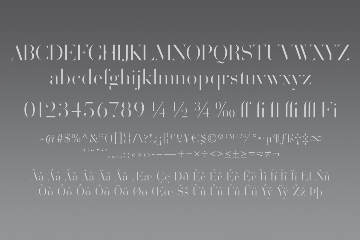 Volterra Family, a Serif Font by Blank Is The New Black (Photo 10 of 11)