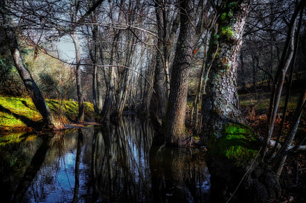 Wild River Landscape. Sanabria,Spain, a Nature Photo by Shootdiem