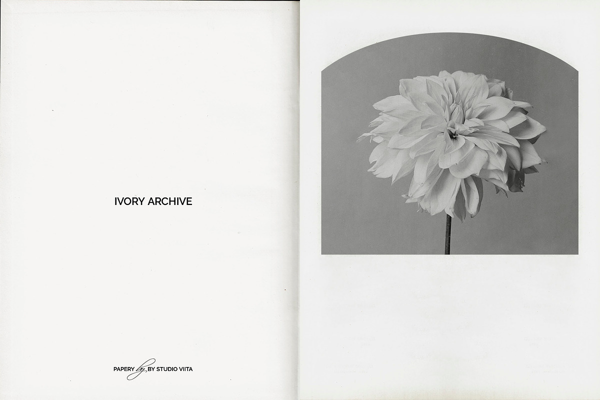 Vintage Scan Borders And Textures⸻3, a Texture Graphic by Studio Viita (Photo 3 of 11)