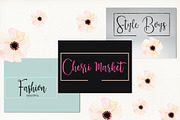 Darling Harbour Brush (NEW UPDATE), a Script Font by Areatype (Thumbnail 3 of 7)