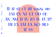 AMOVAND, a Serif Font by Bagerich Type Foundry (Thumbnail 11 of 15)