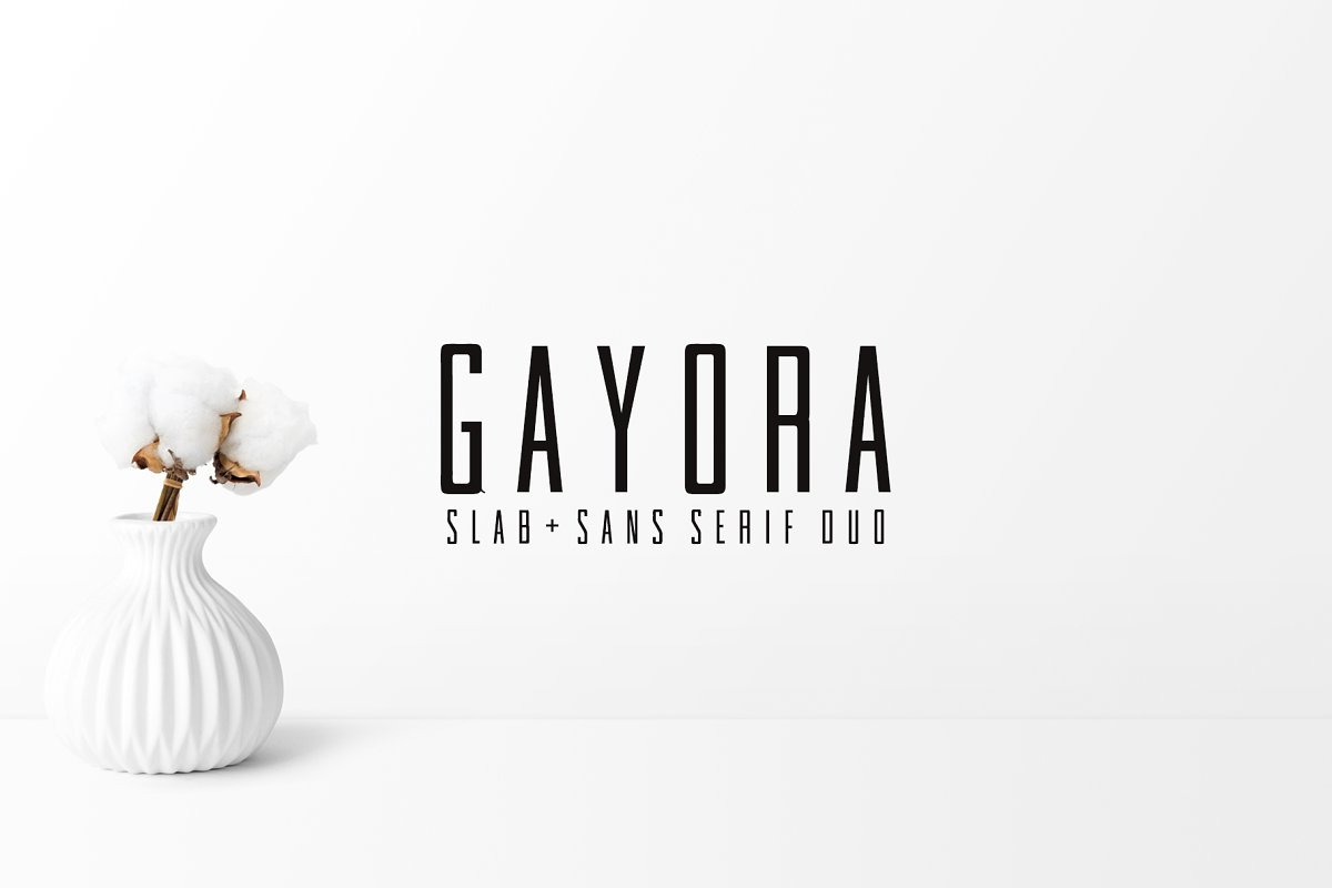 Designer's Type - Sans Serif Bundle!, a Sans Serif Font by Creativetacos (Photo 9 of 36)