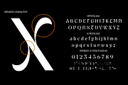 Dingklix - Sans Display Font, a Sans Serif Font by Differentialtype (Thumbnail 4 of 12)