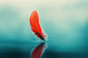 Vibrant red feather floats serenely, a Photo by Iftikhar Alam