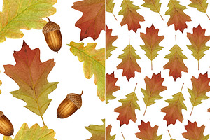 Oak Leaves 6 Seamless Patterns