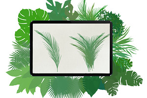 Palm Leaves Brushes For Procreate