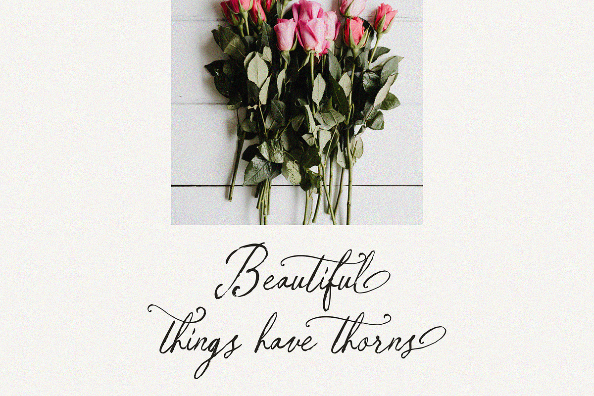 Nora Selira, a Script Font by Realtype (Photo 7 of 8)