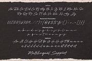 Ditaleni - An Elegant Signature Font, a Script Font by Subectype Studio (Thumbnail 8 of 9)