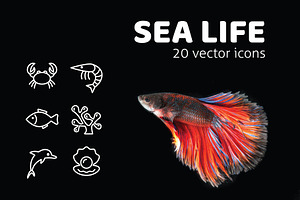 SEA LIFE - vector icons
