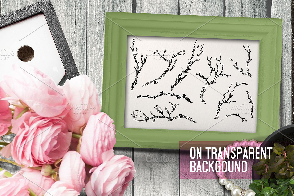 Flowers. Magnolia in vintage style, a Decorative Illustration by Alena Kaz (Photo 3 of 5)