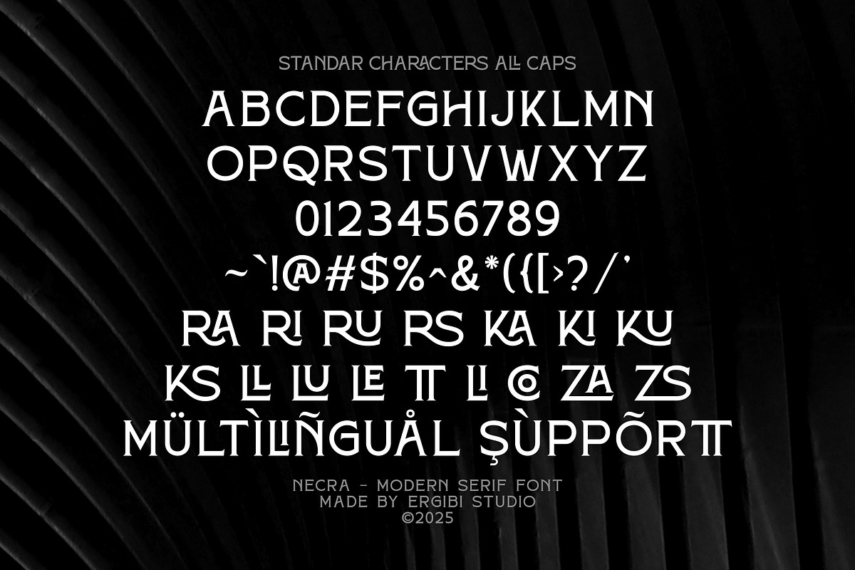 Necra - Modern Serif, a Serif Font by ErgibiStudio (Photo 9 of 12)