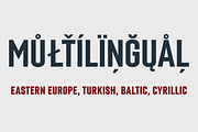 Laqonic 4F Unicase (Family), a Sans Serif Font by 4th february type foundry (Thumbnail 7 of 7)