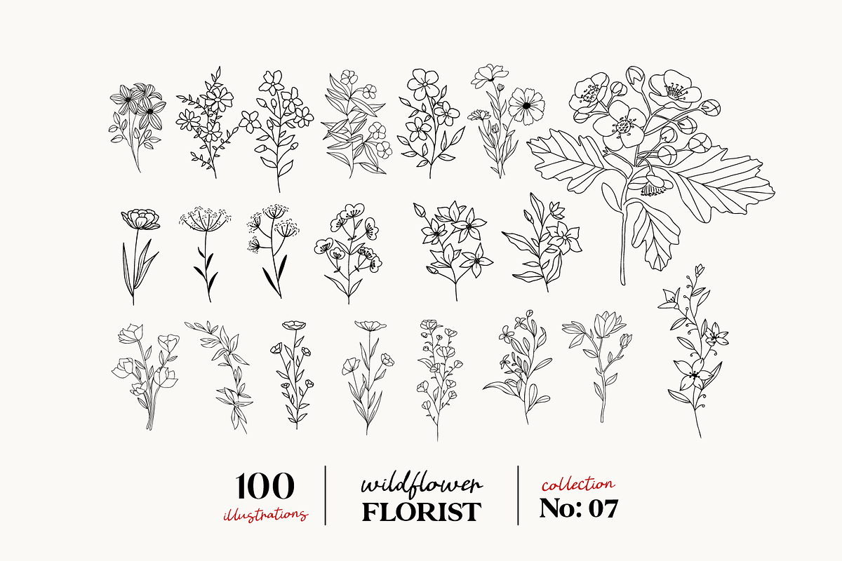 Wildflowers Line Art No:7, a Texture Illustration by Kaya Fonts (Photo 12 of 17)