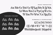 Skinno — A Variable Script Typeface, a Script Font by Skinny Type (Thumbnail 10 of 10)