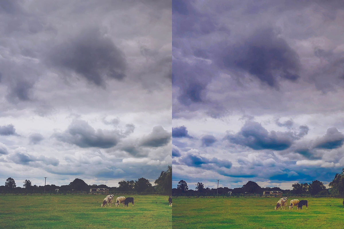 13 Landview Pro Lightroom Presets, a Preset Add-On by RamsaGraphi (Photo 4 of 10)