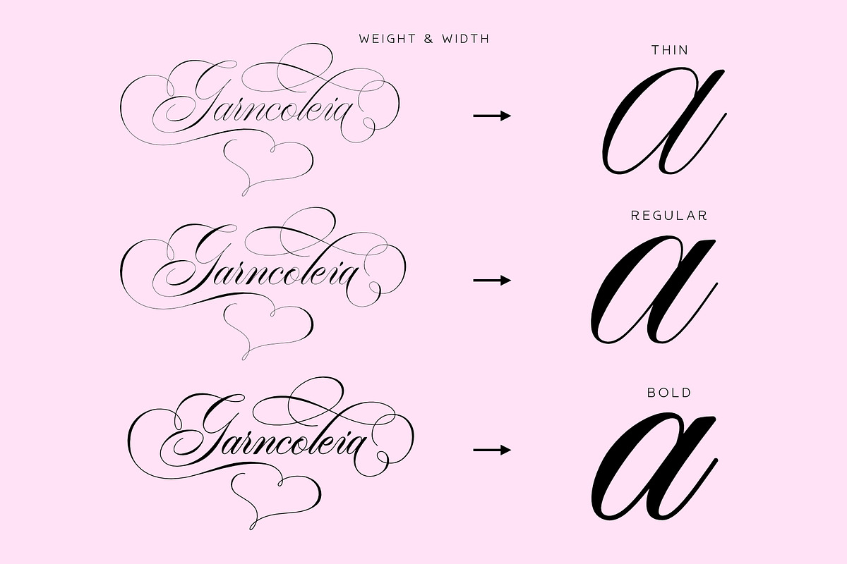Garncoleia - Romantic Script Family, a Script Font by Sealoung (Photo 2 of 12)