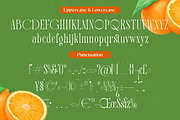 Quiselle Elegant Display Serif, a Serif Font by timelesstype.co (Thumbnail 18 of 20)