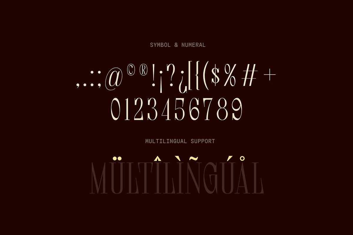Dear Logical - Display Serif Font, a Serif Font by Matsero (Photo 3 of 8)