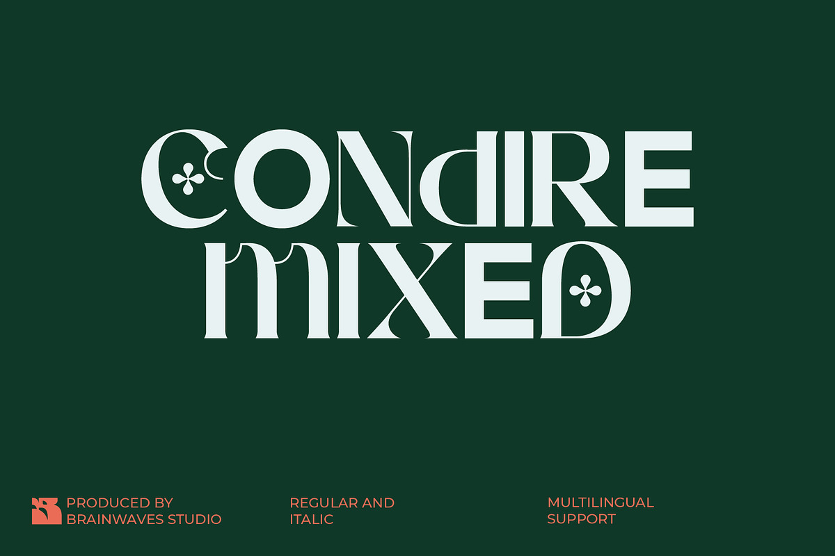 Condire Mixed – Display Font, a Serif Font by Brainwaves.Studio (Photo 1 of 9)
