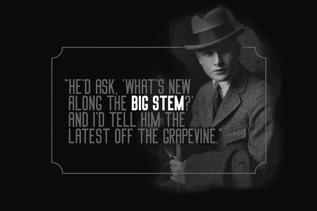 Big Stem Type Family, a Sans Serif Font by BorisG (Photo 14 of 14)