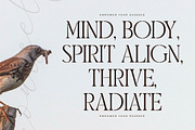 Morelan Modern Display Serif, a Serif Font by Storytype Studio (Thumbnail 3 of 15)