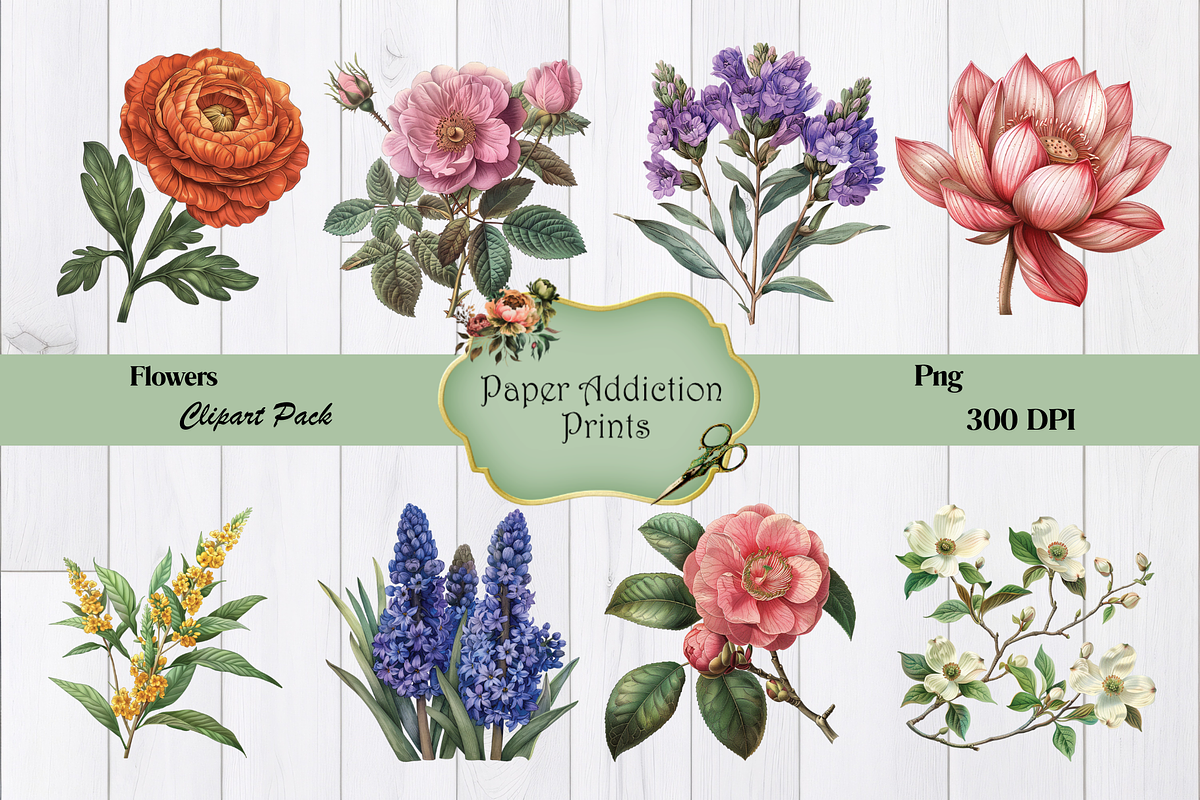 70 Flower Clipart Images, a Decorative Illustration by Paper Addiction Prints (Photo 9 of 10)