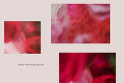 Dreamy Romantic Floral Backgrounds, a Background Graphic by eclosque (Thumbnail 19 of 27)