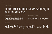 Wafine Elegant Ligature Serif Font, a Serif Font by Perfectype (Thumbnail 6 of 6)