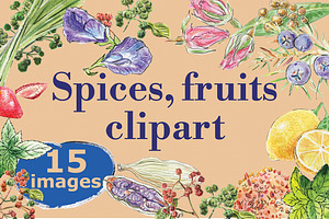Watercolor spices, fruits, vector