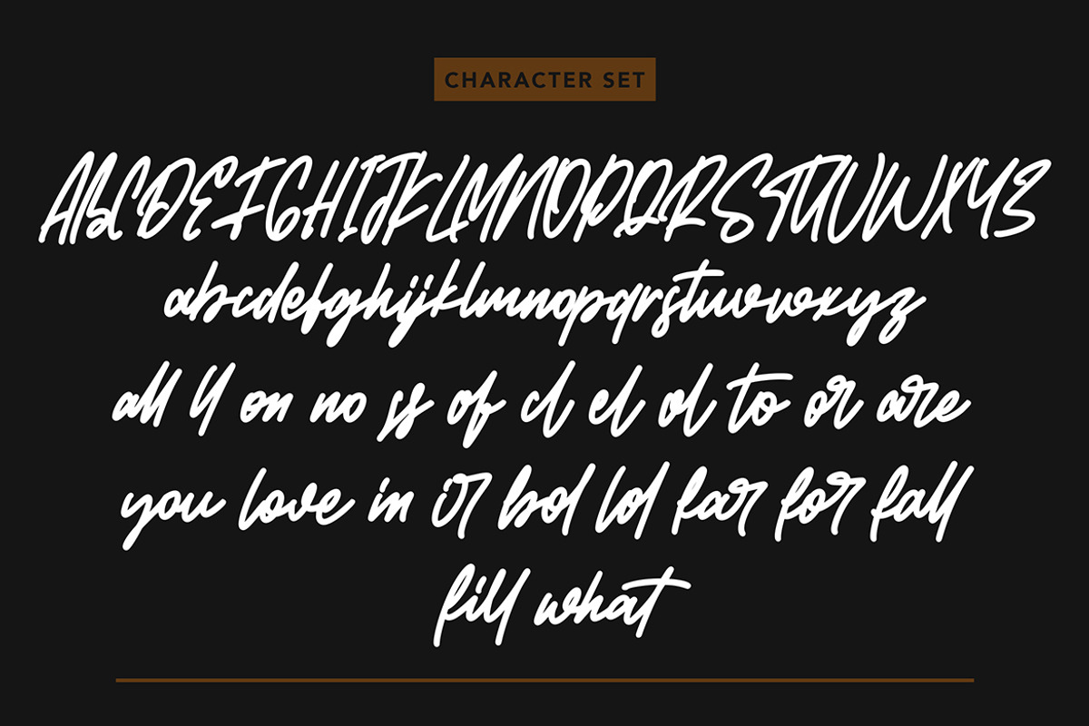 Whatfords - Monoline Script Font, a Script Font by AQR Studio (Photo 10 of 11)